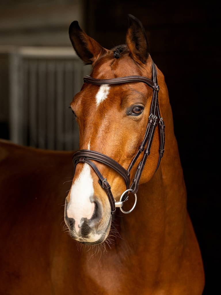 LeMieux Arika Flash Bridle - Country Ways