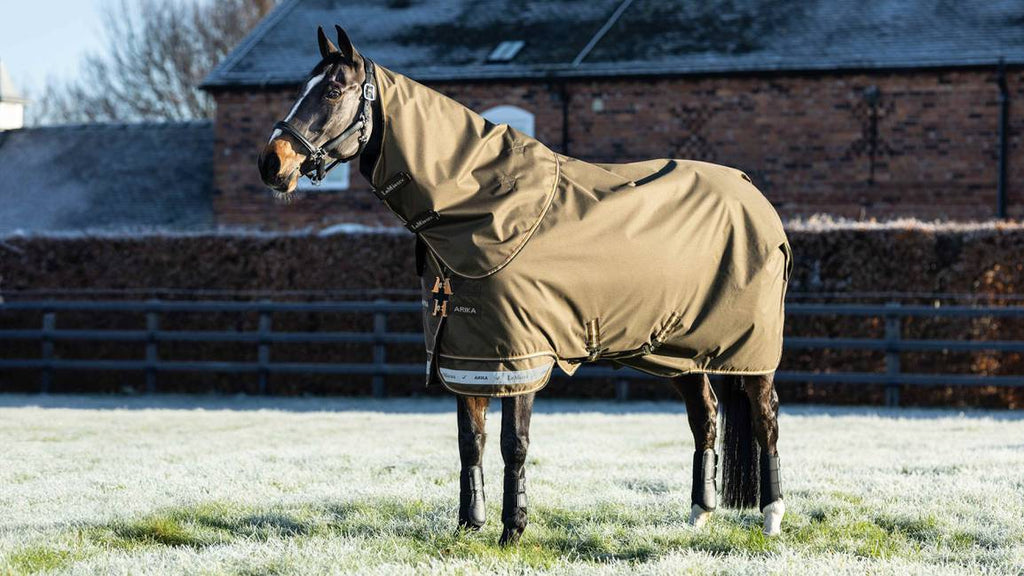 LeMieux Arika Ripstop 200g Turnout Rug - Country Ways