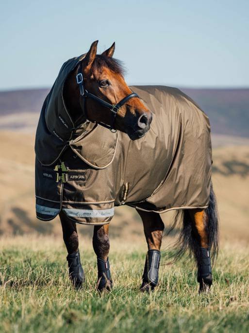 LeMieux Arika Ripstop 200g Turnout Rug - Country Ways