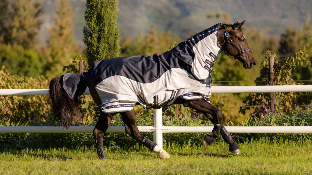 LeMieux Arika Shower - Tek Fly Rug - Country Ways