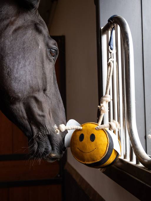 LeMieux Bee Horse Toy - Country Ways