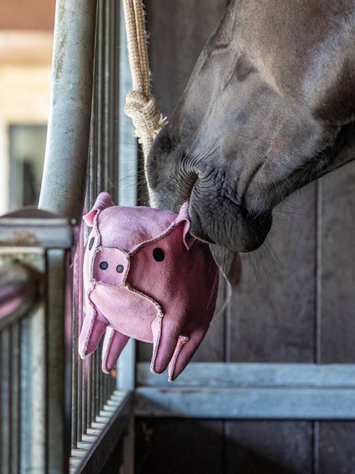 LeMieux Flying Pig Horse Toy - Country Ways