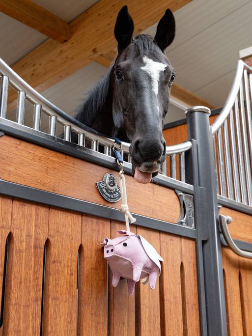 LeMieux Flying Pig Horse Toy - Country Ways