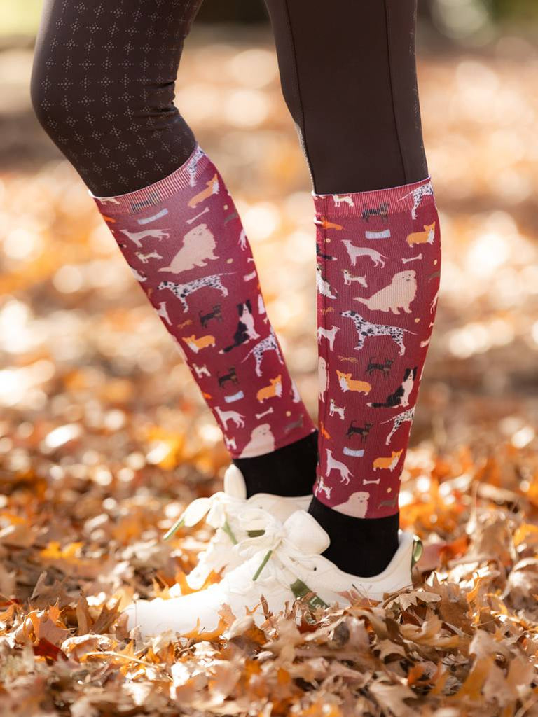 LeMieux Footsie Dog Socks - Country Ways