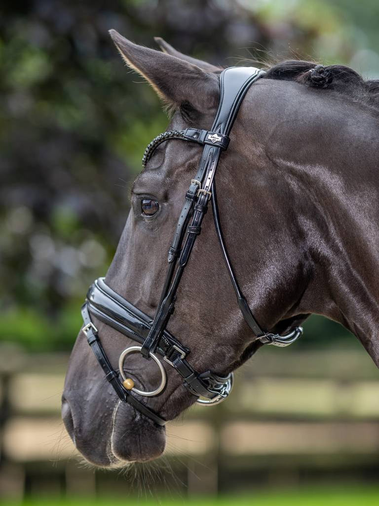 LeMieux Kudos Patent Dressage Bridle - Country Ways