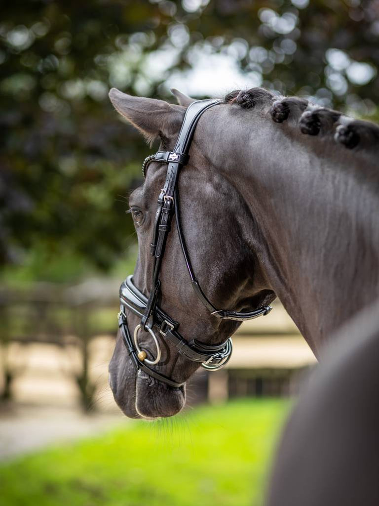 LeMieux Kudos Patent Dressage Bridle - Country Ways