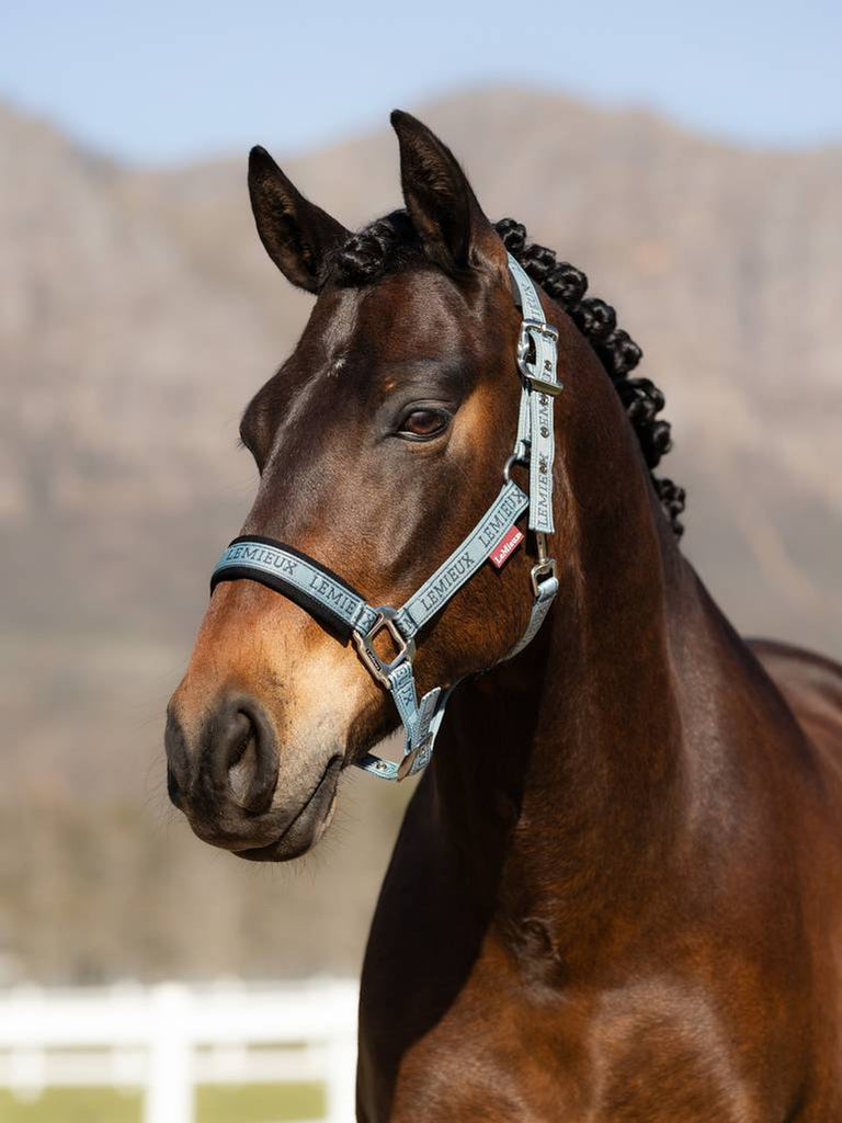 LeMieux Logo Headcollar AW24 - Country Ways