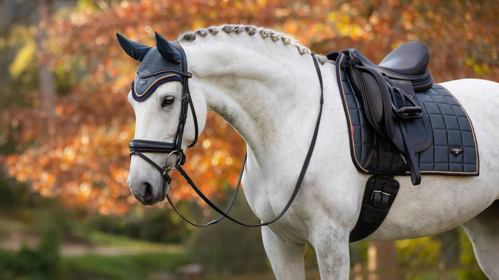 LeMieux Loire Classic Dressage Square AW24 - Country Ways