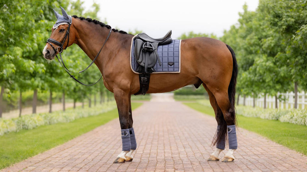 LeMieux Loire Classic Dressage Square SS24 - Country Ways