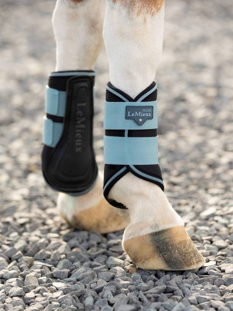 LeMieux Mini Brushing Boots AW24 - Country Ways