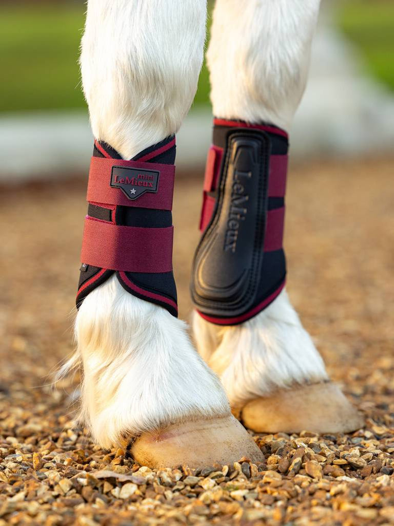 LeMieux Mini Brushing Boots AW24 - Country Ways