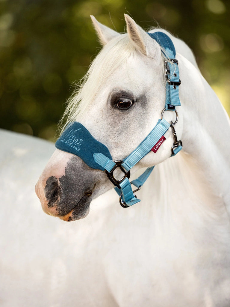 LeMieux Mini Vogue Fleece Headcollar and Rope - Country Ways