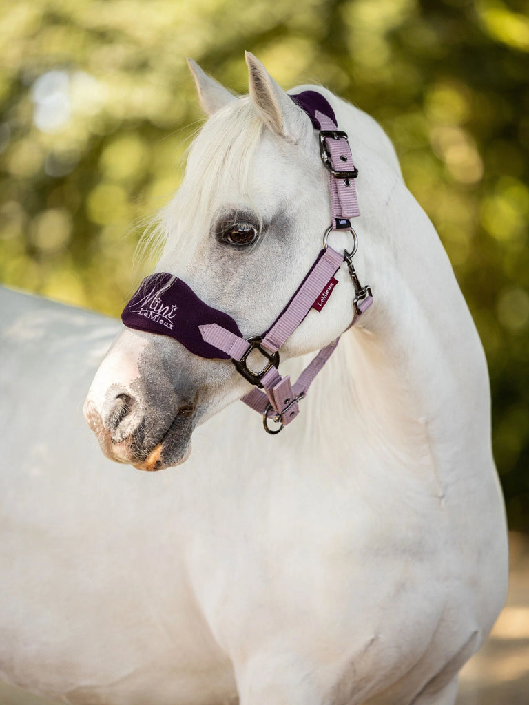 LeMieux Mini Vogue Fleece Headcollar and Rope - Country Ways