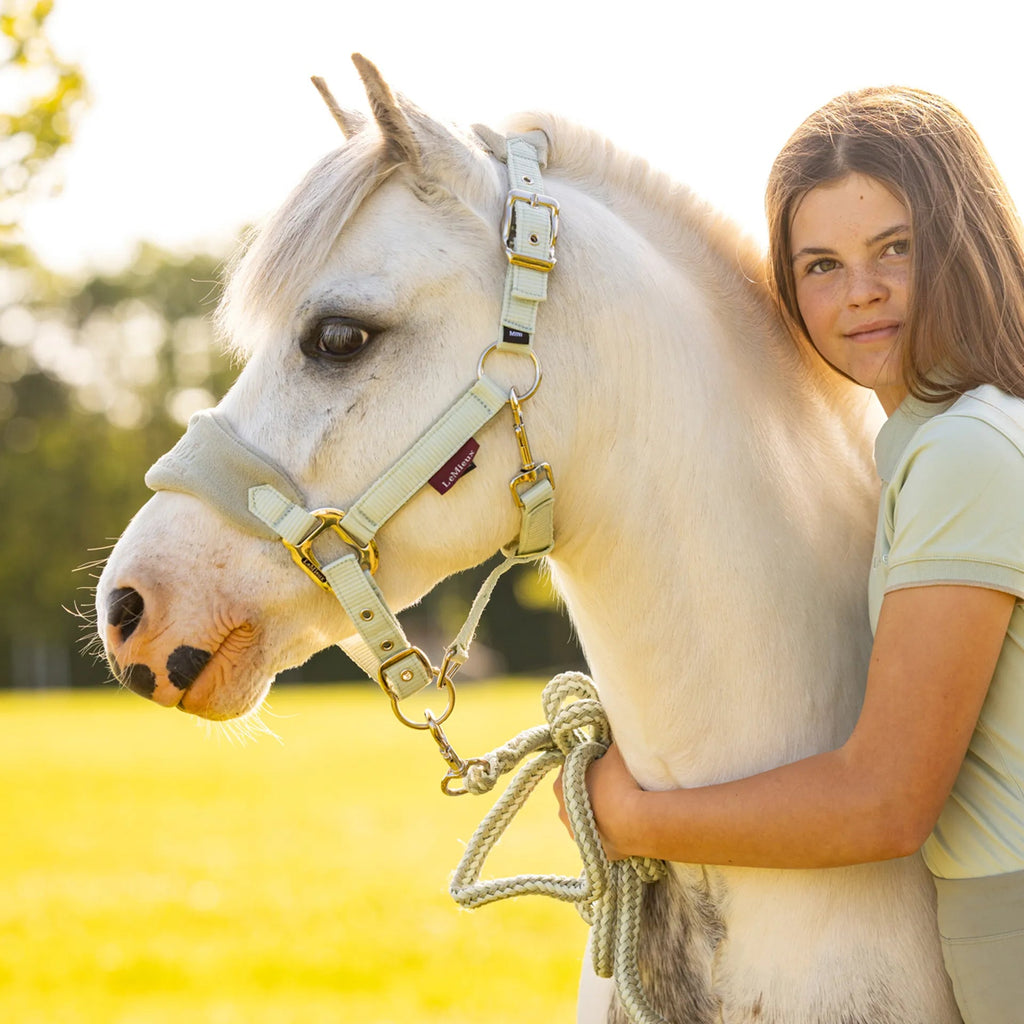 LeMieux Mini Vogue Headcollar SS24 - Country Ways