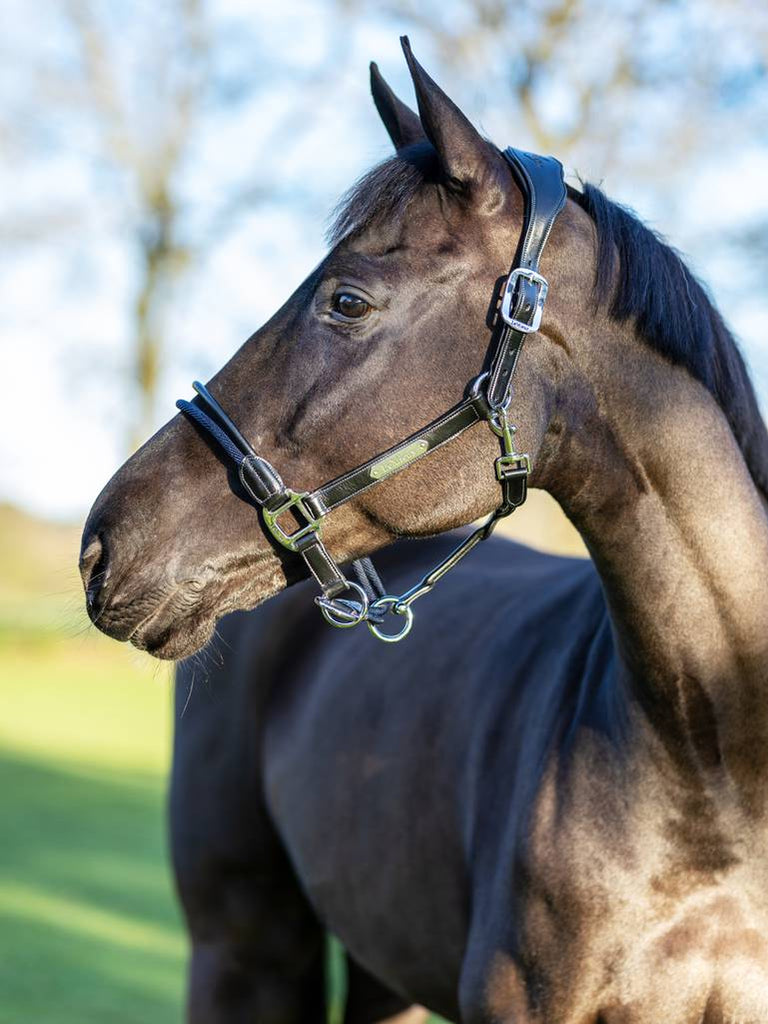 LeMieux Rope Control Headcollar - Country Ways