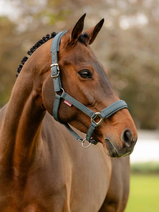 LeMieux Soft Shell Headcollar AW24 - Country Ways