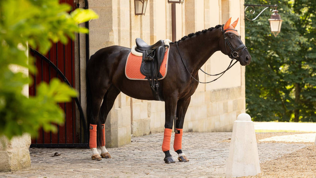 LeMieux Suede Dressage Square SS24 - Country Ways