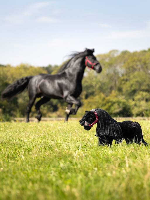 LeMieux Toy Pony Spike - Country Ways