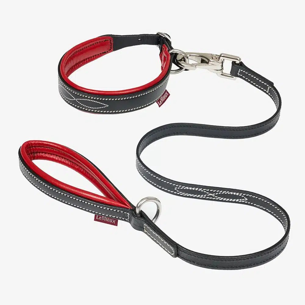 LeMieux Toy Puppy Collar & Lead - Country Ways