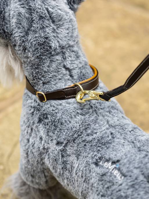 LeMieux Toy Puppy Collar & Lead AW24 - Country Ways