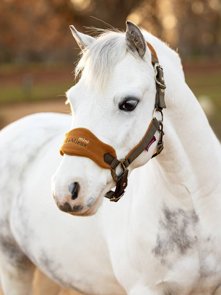 LeMieux Vogue Headcollar & Leadrope AW24 - Country Ways