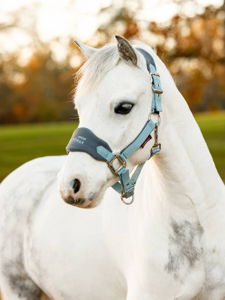 LeMieux Vogue Headcollar & Leadrope AW24 - Country Ways