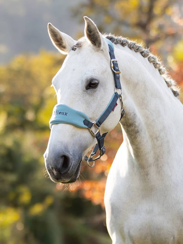 LeMieux Vogue Headcollar & Leadrope AW24 - Country Ways