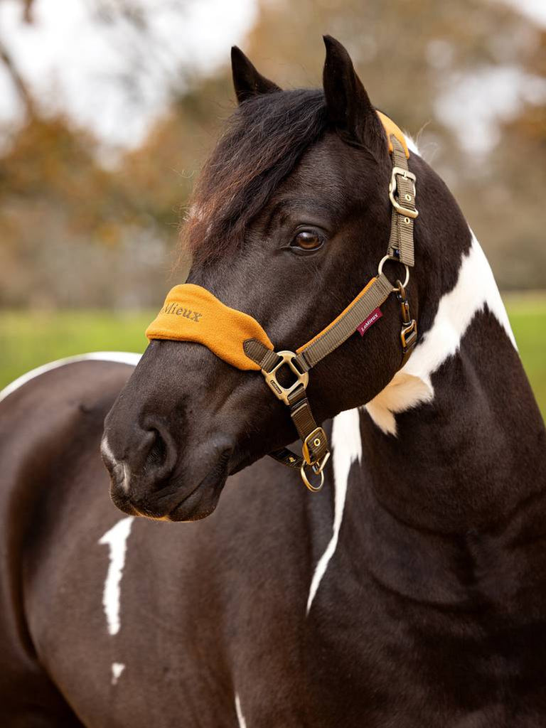 LeMieux Vogue Headcollar & Leadrope AW24 - Country Ways