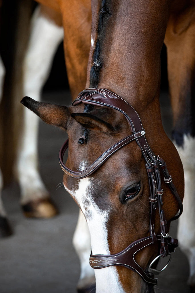 Montar Monarch Jumping Bridle Eco Leather - Country Ways