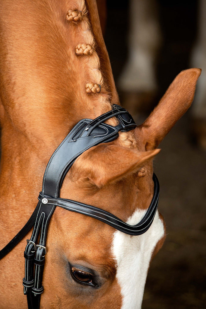 Montar Monarch Jumping Bridle Eco Leather - Country Ways