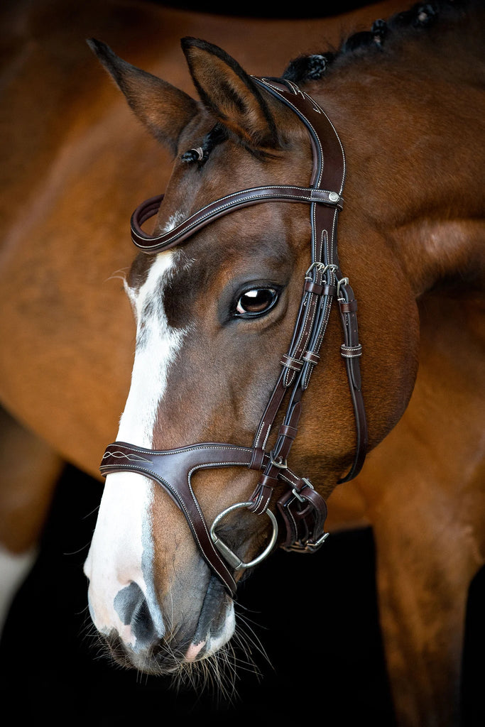 Montar Monarch Jumping Bridle Eco Leather - Country Ways