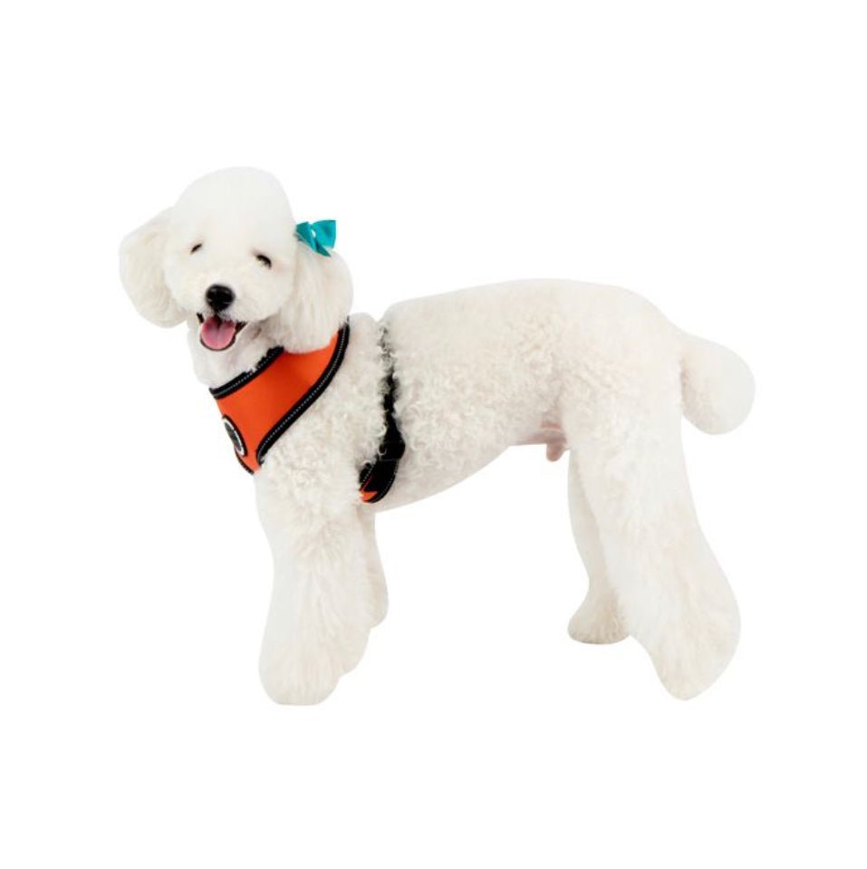 Pet London Trek Harness A - Country Ways