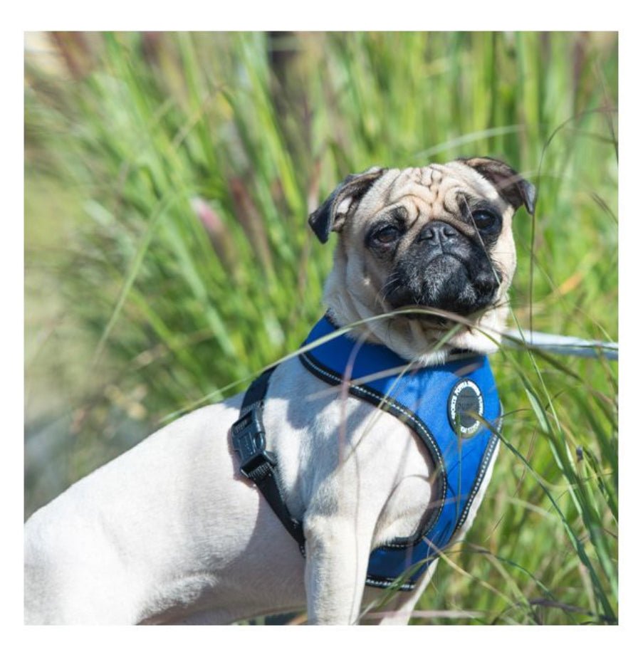 Pet London Trek Harness A - Country Ways