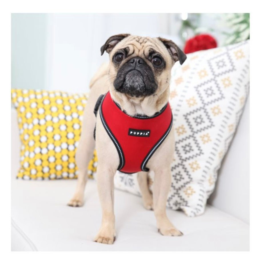 Pet London Trek Harness A - Country Ways