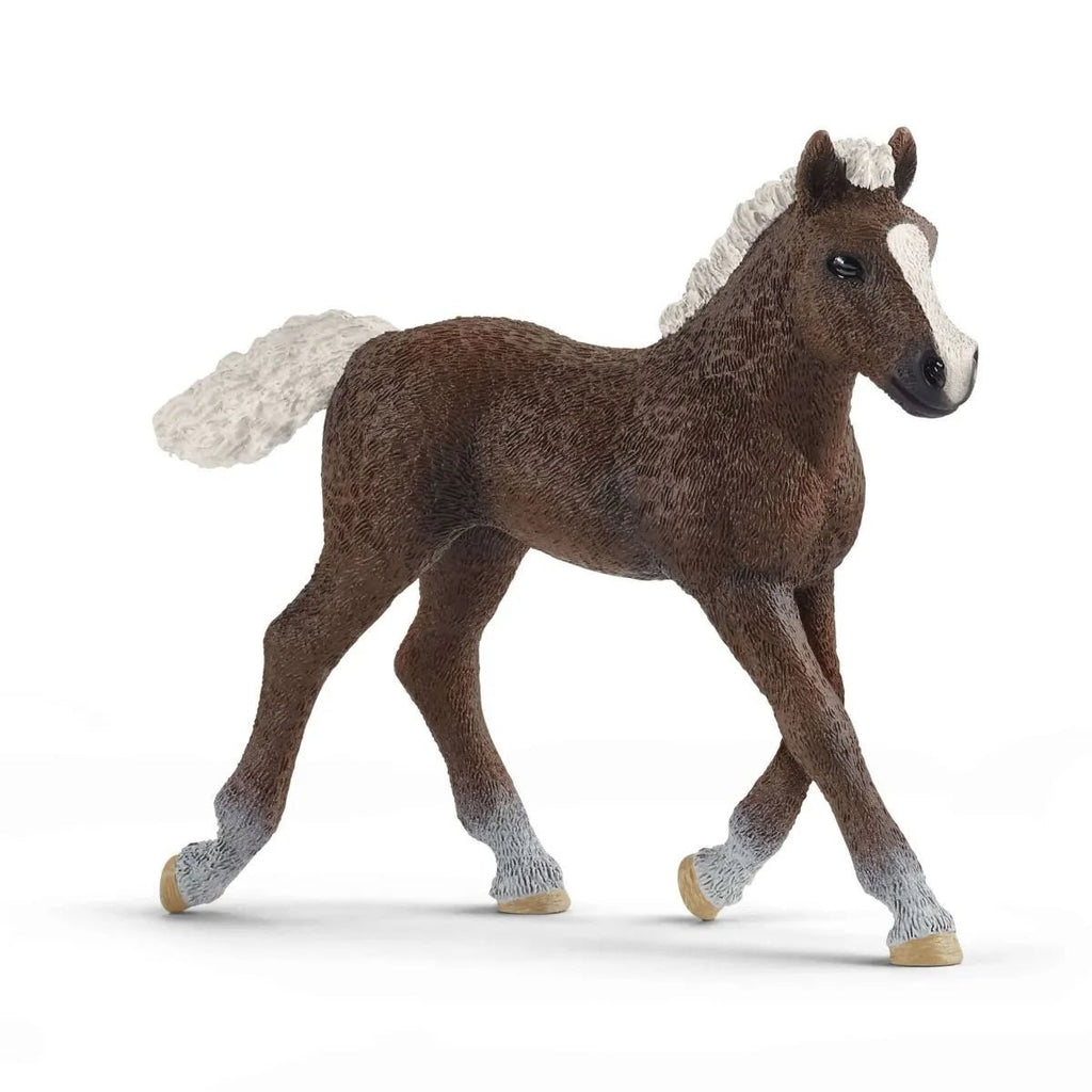 Schleich Black Forest Foal - Country Ways