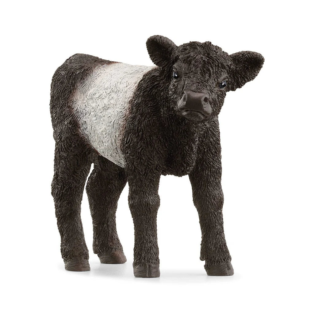 Schleich Galloway Calf - Country Ways