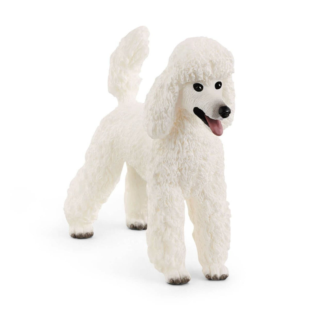Schleich Poodle - Country Ways