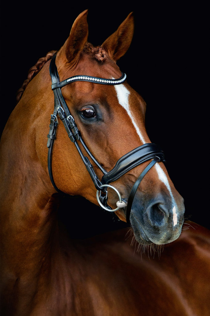 Schockemohle Malibu Bridle Espresso/Silver - Country Ways