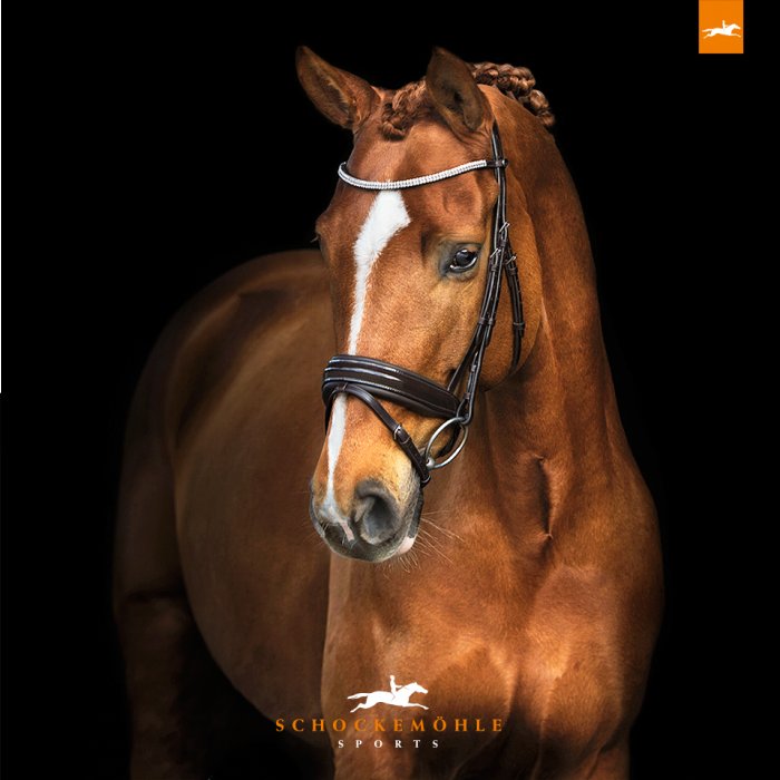 Schockemohle Manhattan Bridle - Country Ways