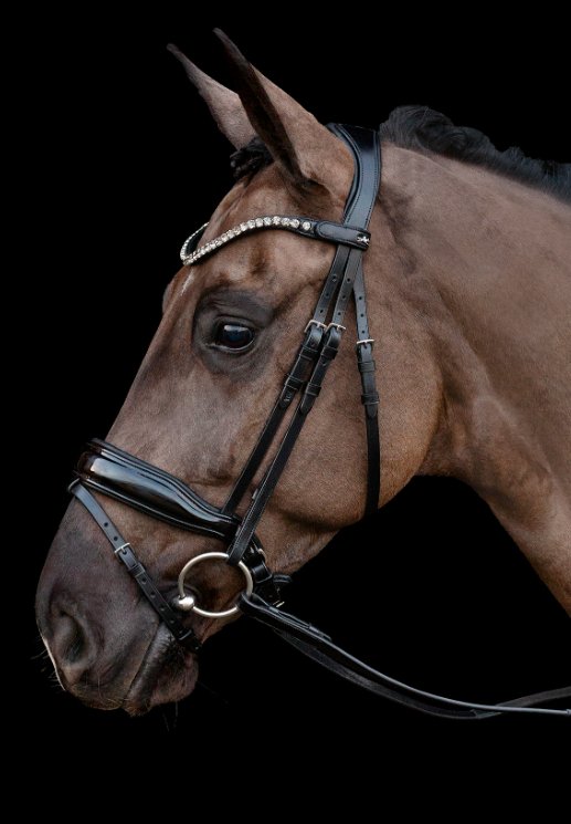 Schockemole Sienna Bridle - Country Ways