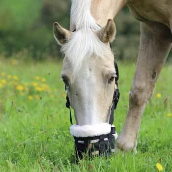 Shires Deluxe Comfort Grazing Muzzle - Country Ways