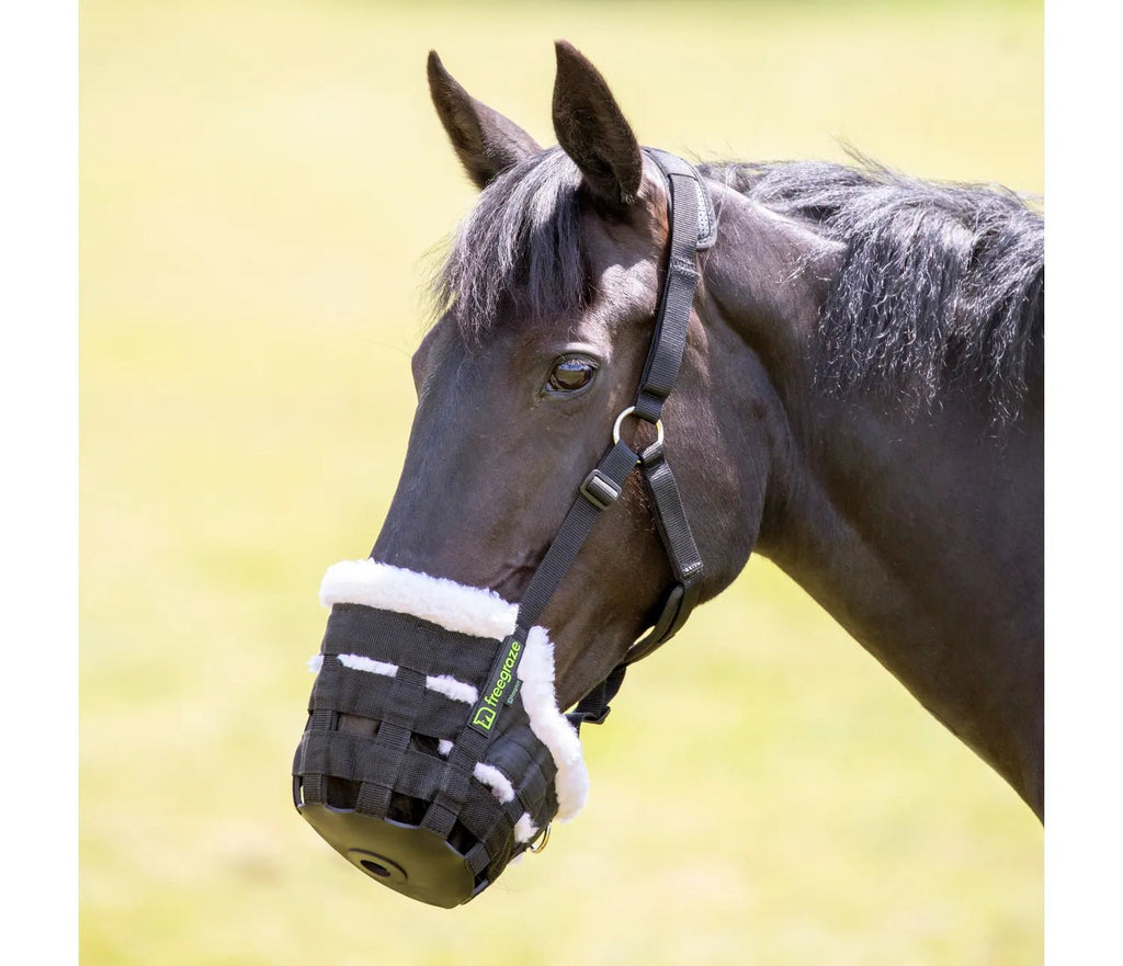 Shires Deluxe Comfort Grazing Muzzle - Country Ways