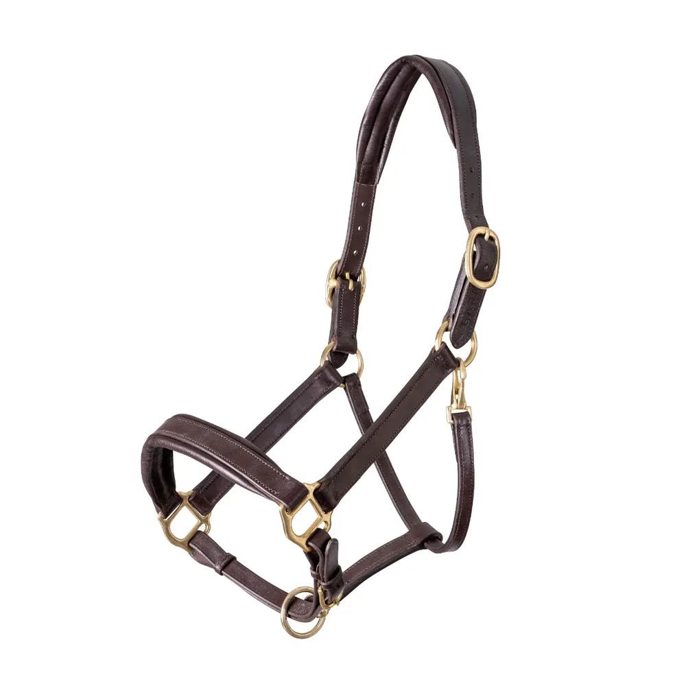 Shires Velociti GARA Leather Travel Headcollar - Country Ways