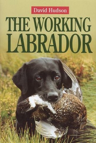 The Working Labrador by David Hudson (Hardback) - Country Ways