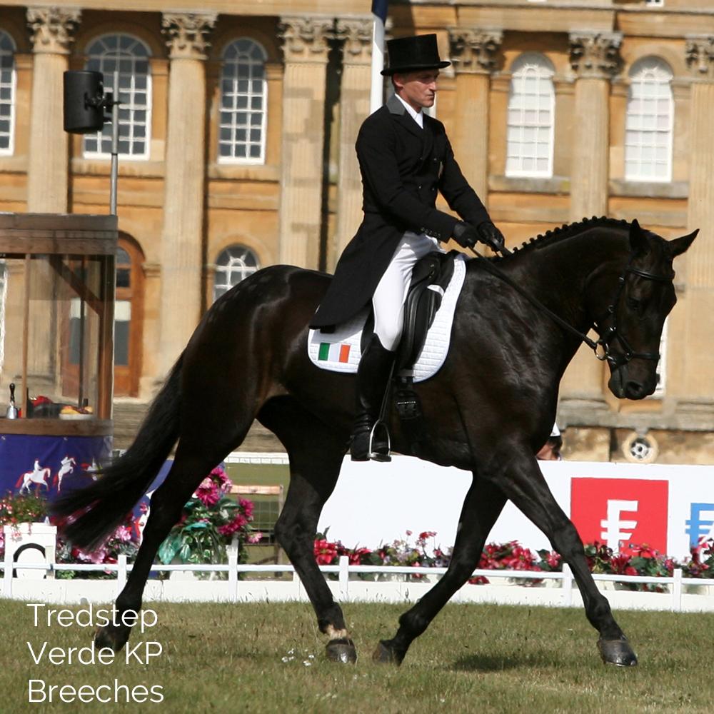 Tredstep Ireland Mens Verde Breeches - Country Ways