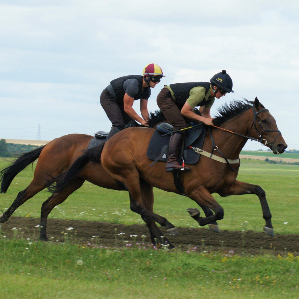 Tuffa McCoy Race Exercise Boots - Country Ways